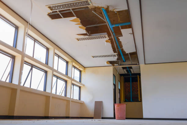 Best Flood damage cleanup  in Fort Walton Beach, FL