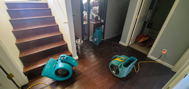 Best Fire Damage Restoration  in Fort Walton Beach, FL