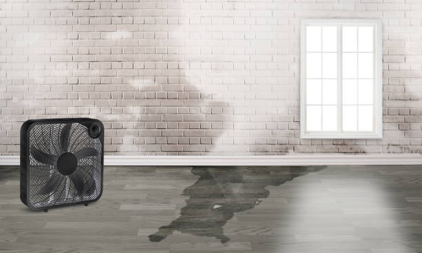 Best Sewage cleanup and water damage restoration  in Fort Walton Beach, FL