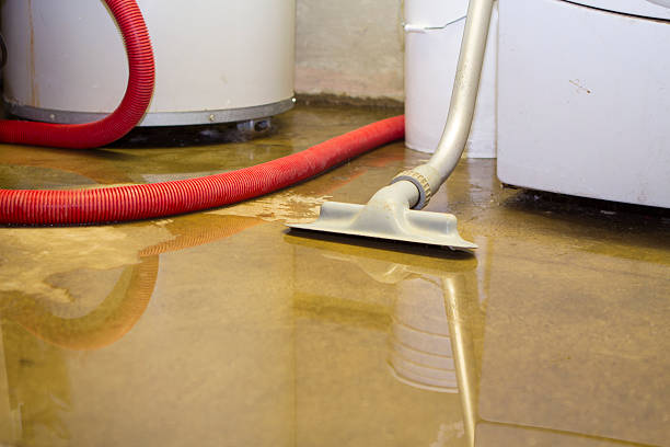 Best Flood restoration services  in Fort Walton Beach, FL